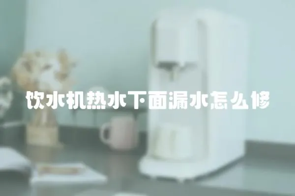 飲水機熱水下面漏水怎么修