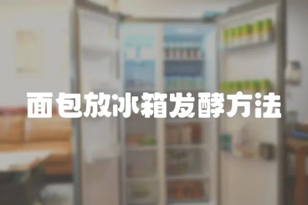 面包放冰箱發酵方法