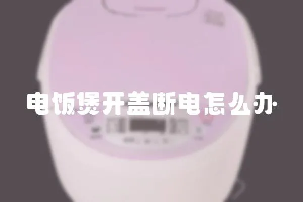 電飯煲開蓋斷電怎么辦