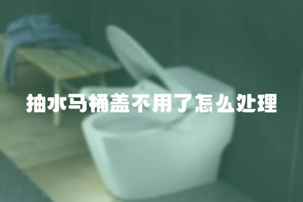 抽水馬桶蓋不用了怎么處理