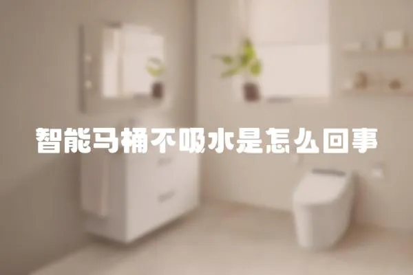 智能馬桶不吸水是怎么回事