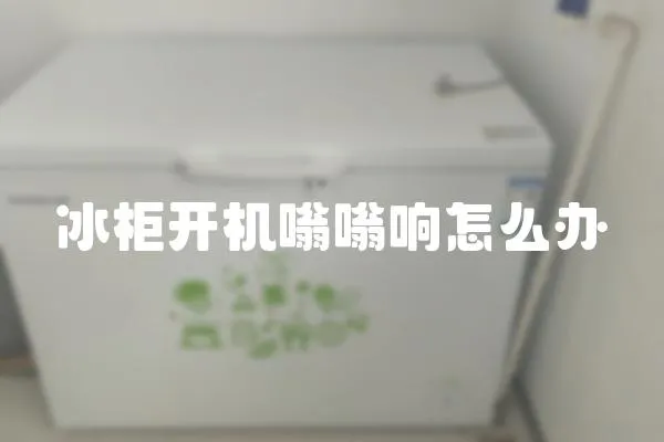 冰柜开机嗡嗡响怎么办