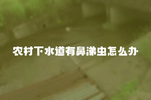 農村下水道有鼻涕蟲怎么辦