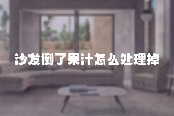 沙發倒了果汁怎么處理掉