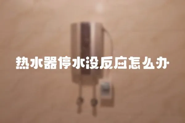 熱水器停水沒反應怎么辦