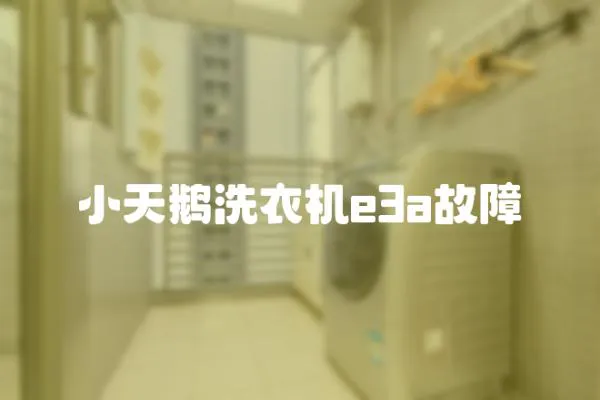 小天鵝洗衣機e3a故障
