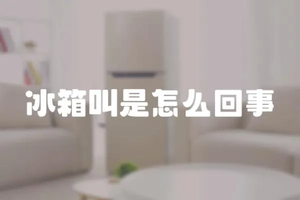 冰箱叫是怎么回事