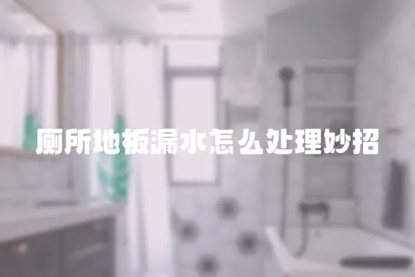 廁所地板漏水怎么處理妙招