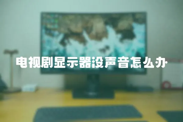電視劇顯示器沒聲音怎么辦