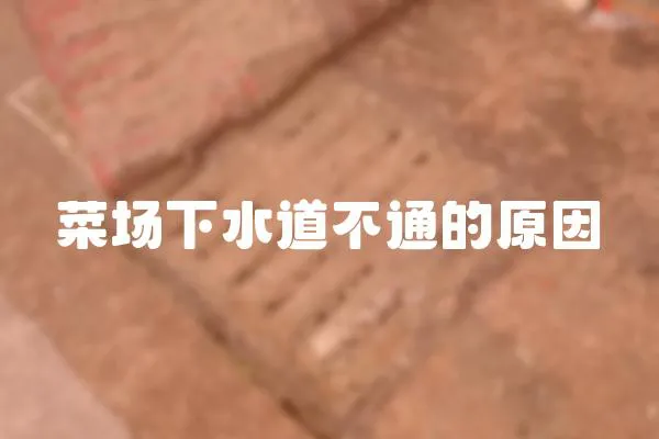 菜場(chǎng)下水道不通的原因