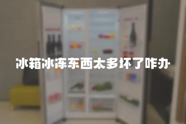 冰箱冰凍東西太多壞了咋辦