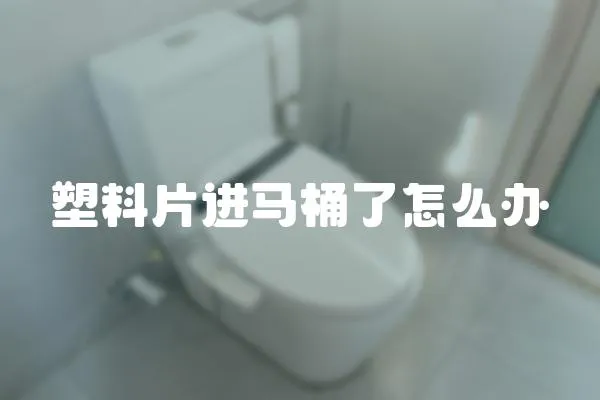 塑料片進馬桶了怎么辦