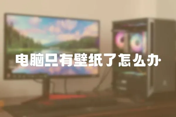 電腦只有壁紙了怎么辦
