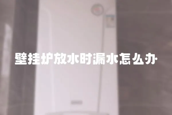 壁掛爐放水時漏水怎么辦