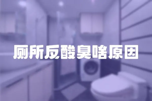廁所反酸臭啥原因