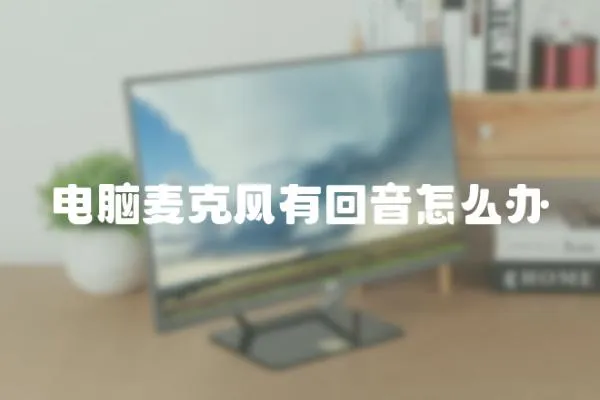 電腦麥克風有回音怎么辦