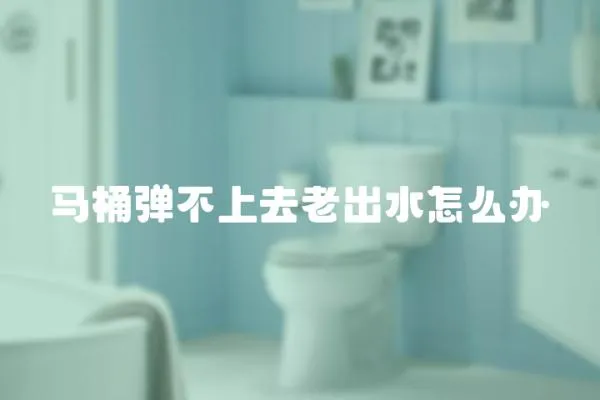 馬桶彈不上去老出水怎么辦