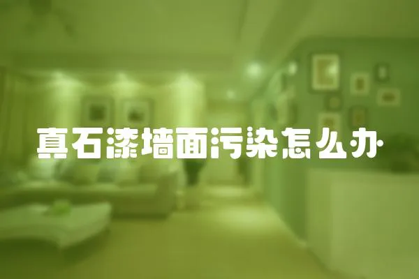 真石漆墻面污染怎么辦
