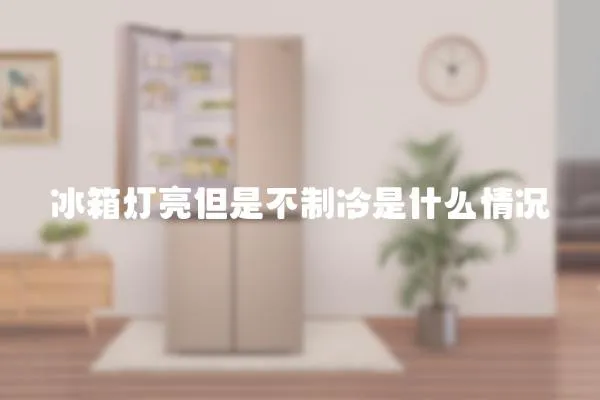 冰箱燈亮但是不制冷是什么情況