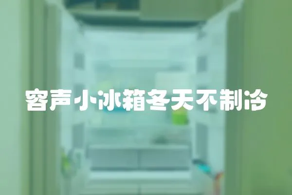 容聲小冰箱冬天不制冷