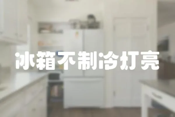 冰箱不制冷燈亮
