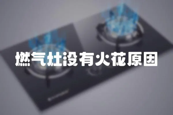 燃氣灶沒有火花原因