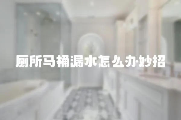 廁所馬桶漏水怎么辦妙招