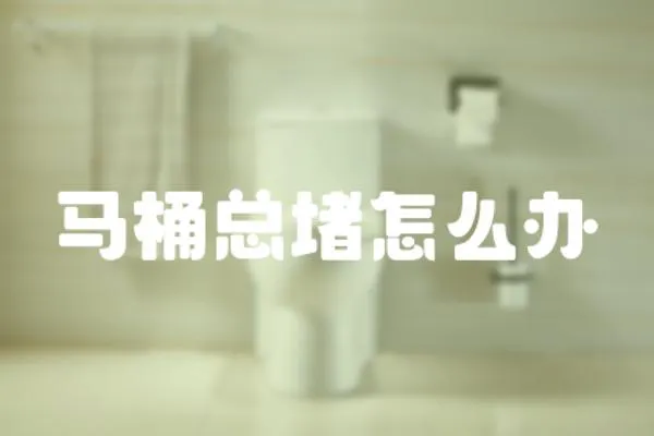 馬桶總堵怎么辦