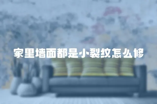 家里墻面都是小裂紋怎么修