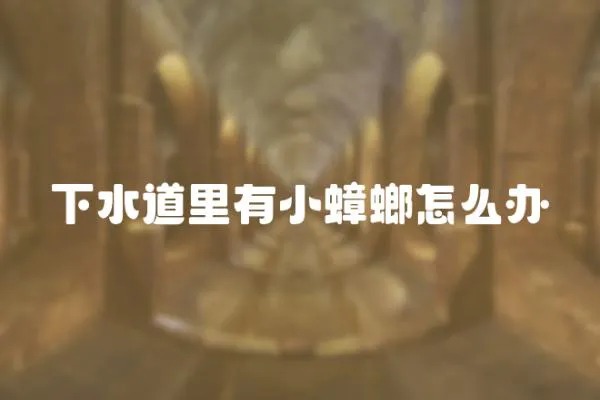 下水道里有小蟑螂怎么辦
