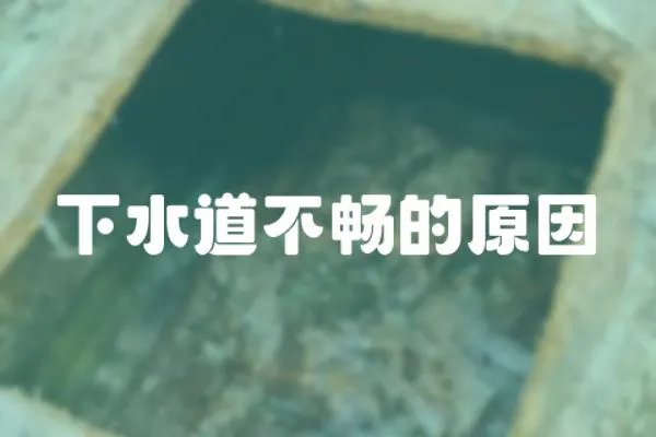 下水道不暢的原因