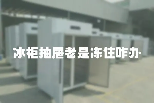 冰柜抽屜老是凍住咋辦