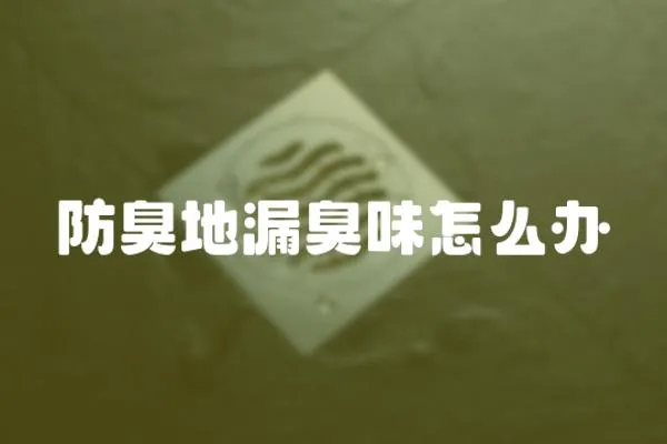防臭地漏臭味怎么辦
