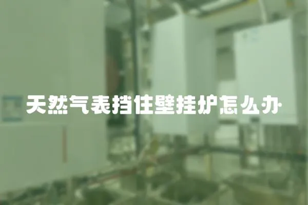 天然氣表擋住壁掛爐怎么辦