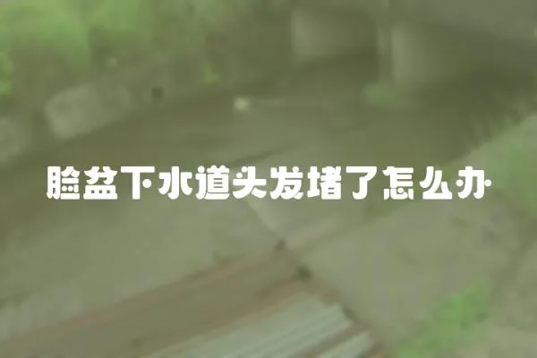 臉盆下水道頭發(fā)堵了怎么辦