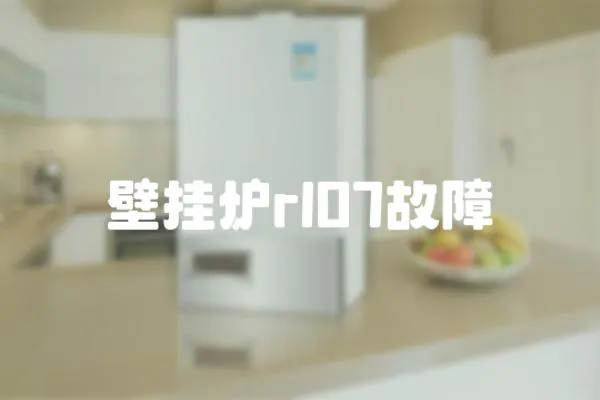 壁掛爐rl07故障