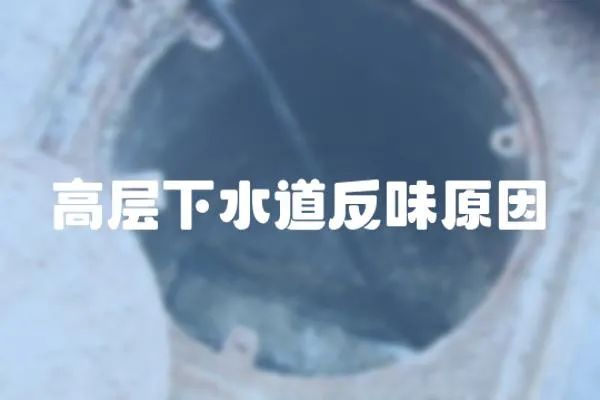 高層下水道反味原因