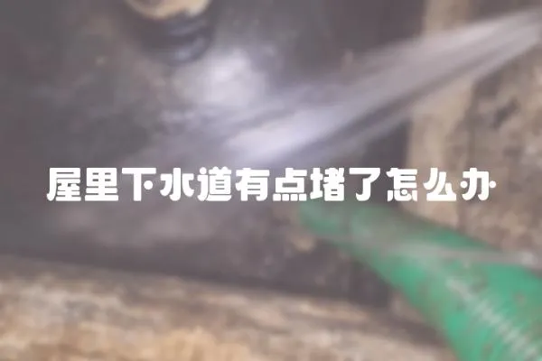 屋里下水道有點堵了怎么辦