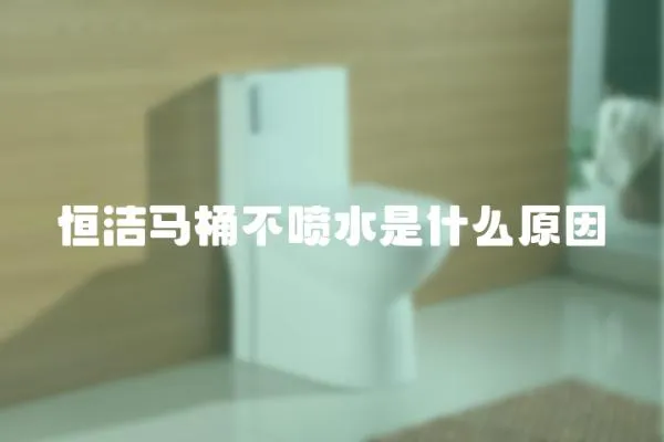 恒潔馬桶不噴水是什么原因