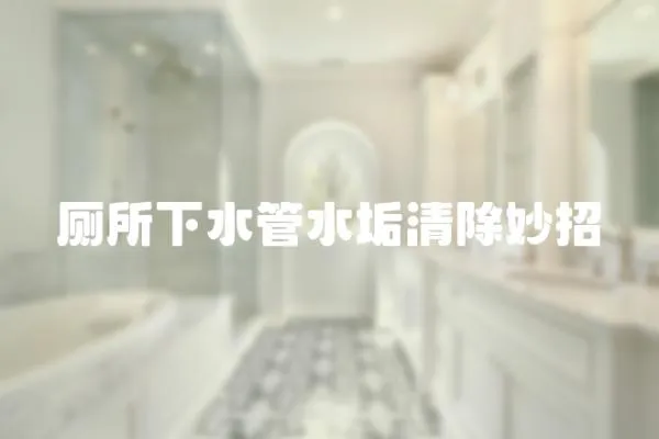 廁所下水管水垢清除妙招