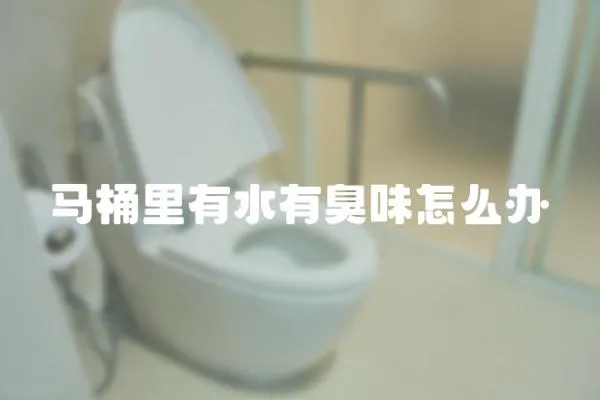 馬桶里有水有臭味怎么辦