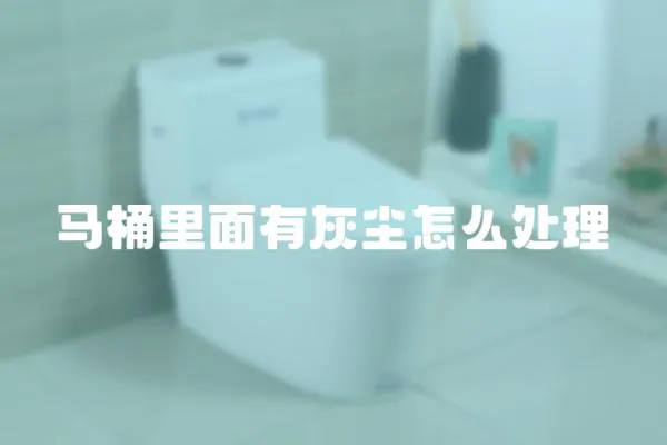 馬桶里面有灰塵怎么處理