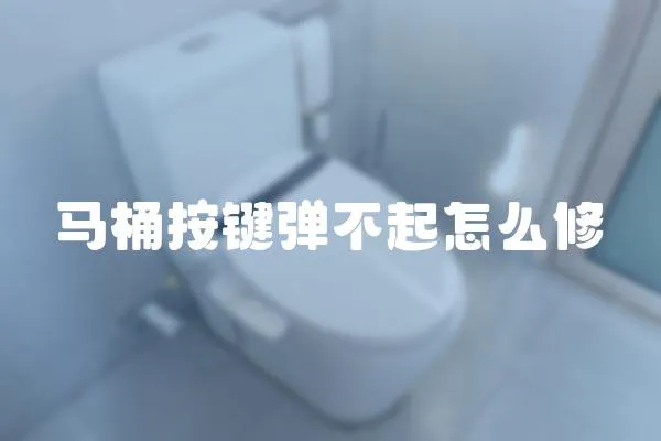 馬桶按鍵彈不起怎么修