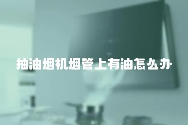 抽油煙機煙管上有油怎么辦