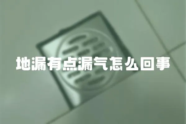 地漏有點漏氣怎么回事