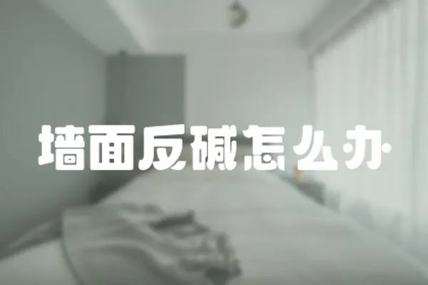 墻面反堿怎么辦