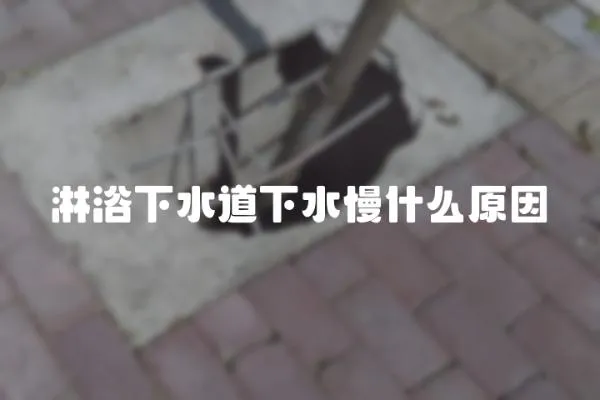 淋浴下水道下水慢什么原因