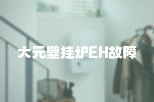 大元壁掛爐EH故障