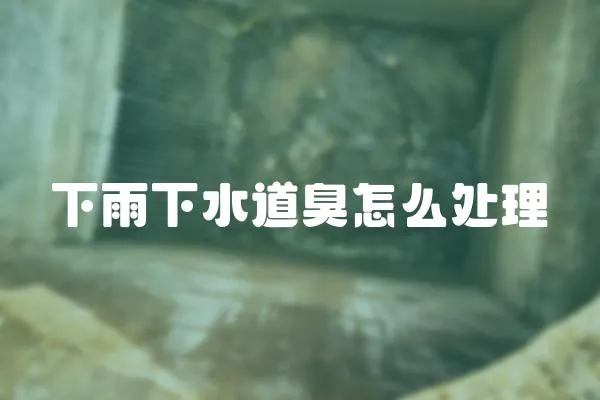 下雨下水道臭怎么處理