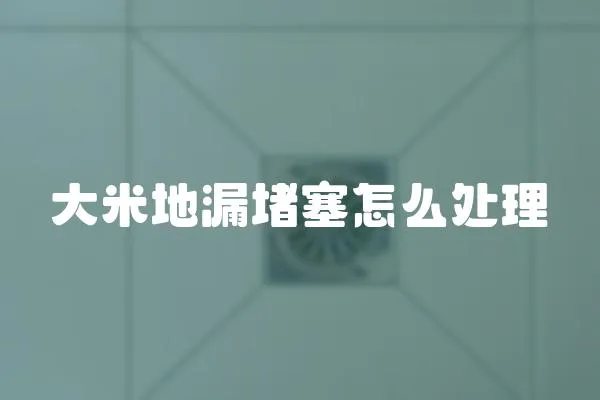 大米地漏堵塞怎么處理